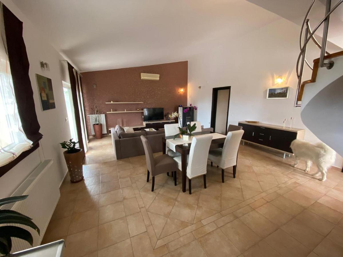 Villa Casa Duje à Zadar Extérieur photo